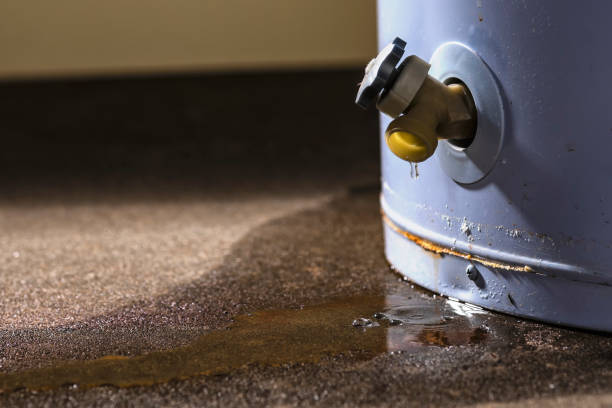 Best Flood damage cleanup  in Wallenuck Lake Estates, PA