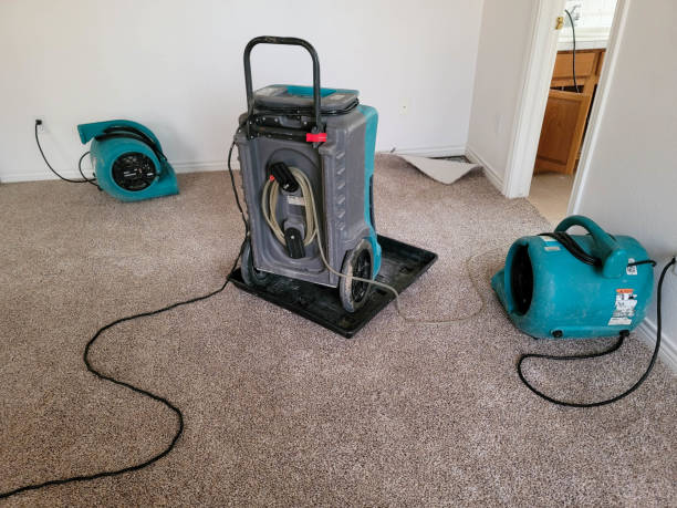 Best 24/7 water damage repair  in Wallenuck Lake Estates, PA