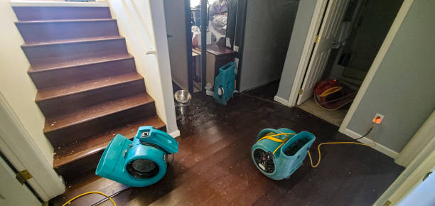 Best Sewage cleanup and water damage restoration  in Wallenuck Lake Estates, PA