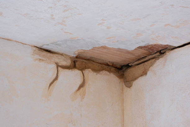 Best Water damage contractors near me  in Wallenuck Lake Estates, PA