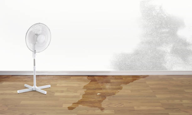 Best Commercial water damage restoration  in Wallenuck Lake Estates, PA