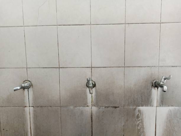 Best Emergency water extraction  in Wallenuck Lake Estates, PA