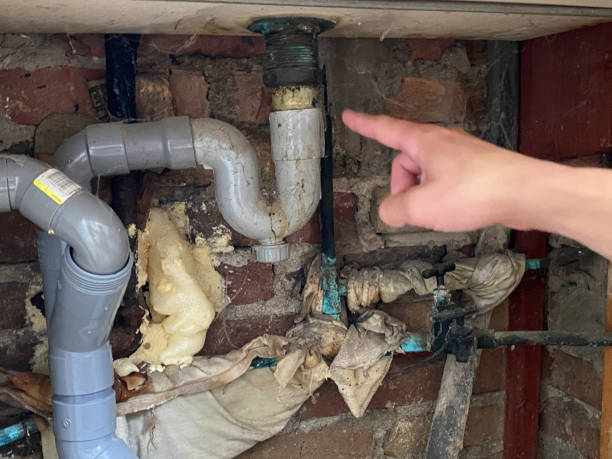 Best Water damage restoration services  in Wallenuck Lake Estates, PA