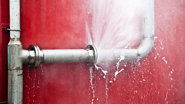 Best Professional water damage repair  in Wallenuck Lake Estates, PA